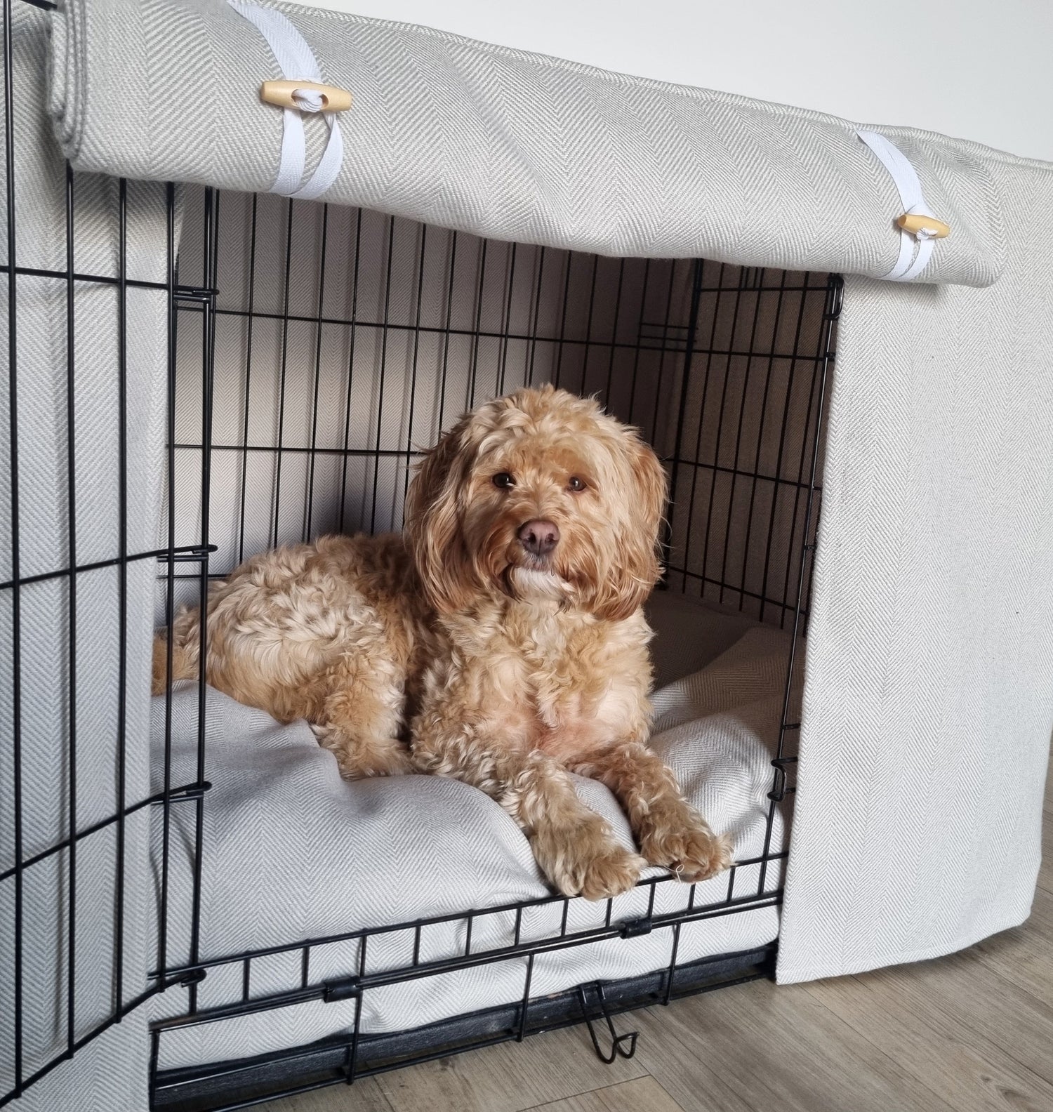 Bespoke Comfort for Every Pup